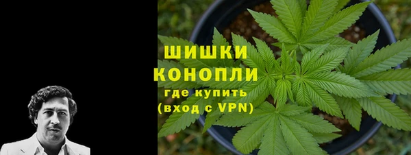 ГАЛЛЮЦИНОГЕННЫЕ ГРИБЫ Волосово