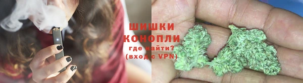 ГАЛЛЮЦИНОГЕННЫЕ ГРИБЫ Волосово